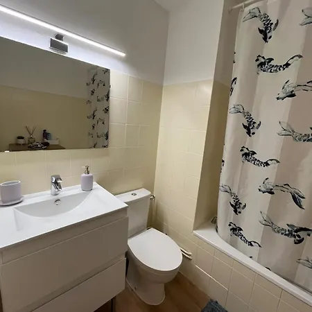 Proche Promenade Des Nice