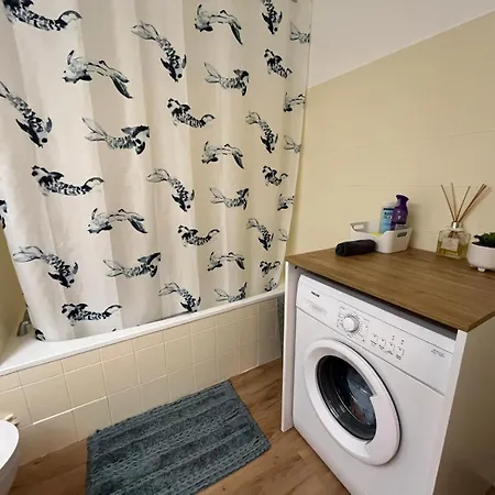 Proche Promenade Des Appartement Nice