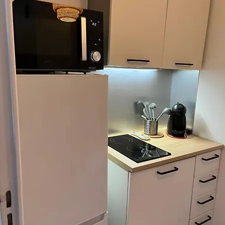 Proche Promenade Des 아파트 니스